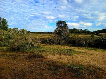 Venta / Terreno / Calbuco