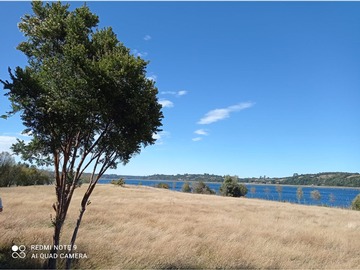 Venta / Terreno / Calbuco