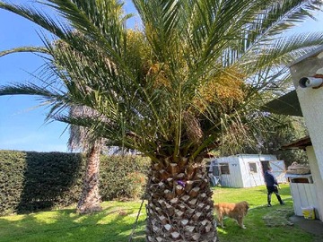 Imagen 9