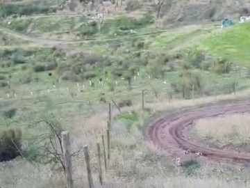 Imagen 5