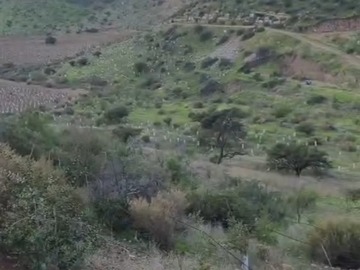 Imagen 7