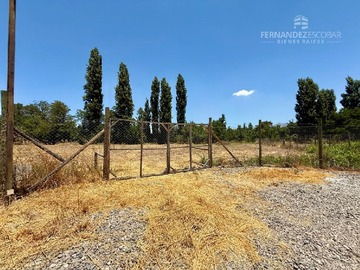 Imagen 9