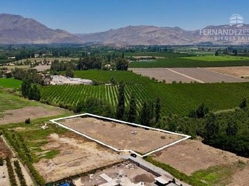 Imagen 4