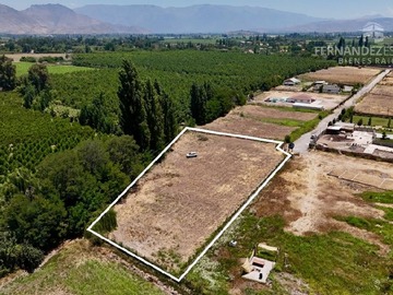 Imagen 6