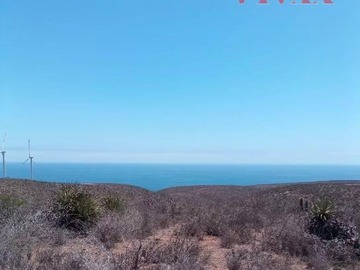Venta / Terreno / Canela