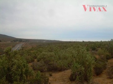 Imagen 9