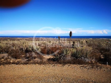 Venta / Terreno / Canela