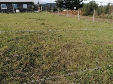 Venta / Terreno / Cañete