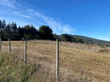 Venta / Terreno / Cañete