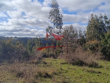 Venta / Terreno / Carahue