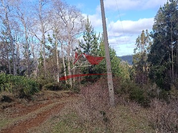 Imagen 6