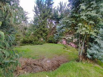 Imagen 12