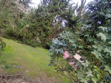 Imagen 13