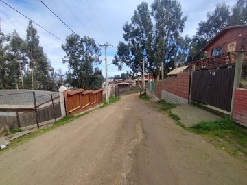 Imagen 7