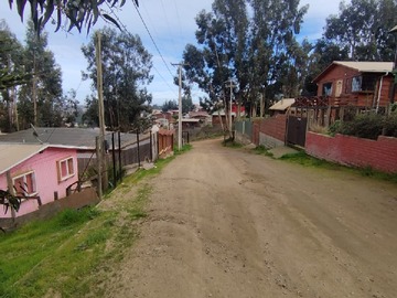 Imagen 16
