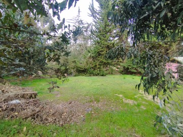 Imagen 9