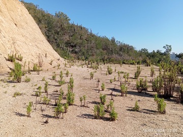 Venta / Terreno / Casablanca