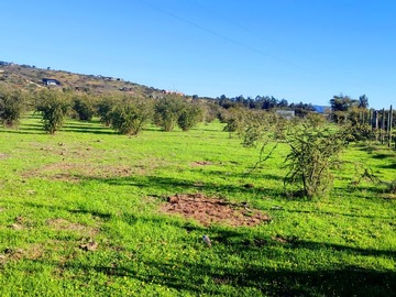 Imagen 5