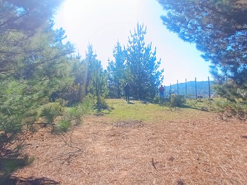 Venta / Terreno / Casablanca