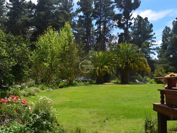 Imagen 11