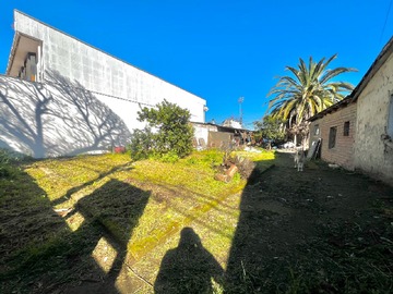 Imagen 4