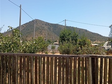Imagen 13