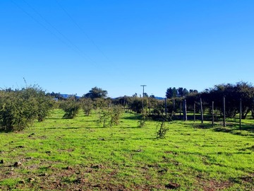 Venta / Terreno / Casablanca