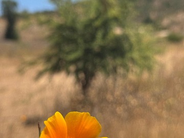 Imagen 8