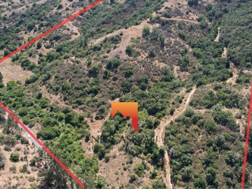 Imagen 21