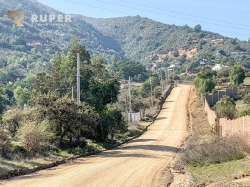 Imagen 12