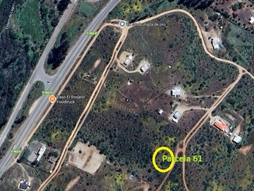 Imagen 11