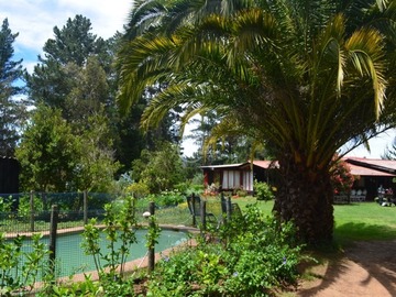 Imagen 4