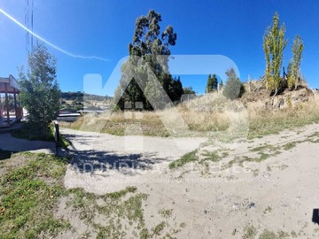 Imagen 7
