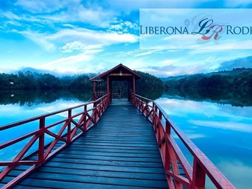Imagen 6
