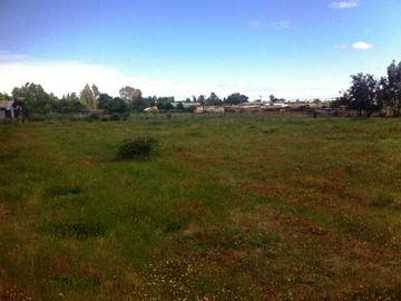 Venta / Terreno / Cauquenes