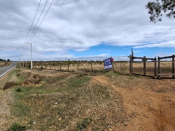 Venta / Terreno / Cauquenes