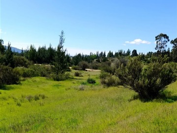 Venta / Terreno / Cauquenes