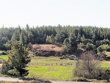 Venta / Terreno / Cauquenes