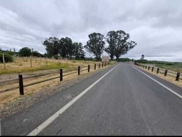 Venta / Terreno / Cauquenes