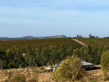 Venta / Terreno / Cauquenes