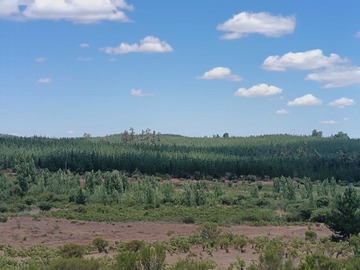 Venta / Terreno / Cauquenes
