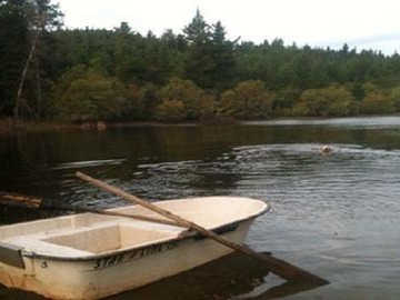 Venta / Terreno / Cauquenes