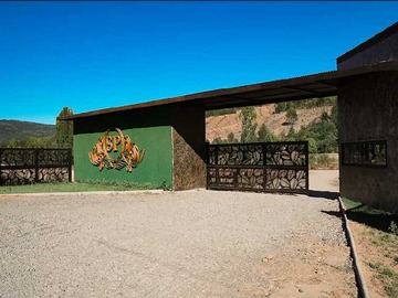 Venta / Terreno / Cauquenes