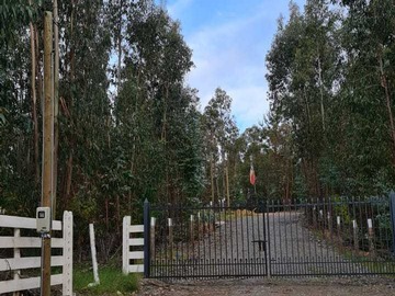 Venta / Terreno / Cauquenes