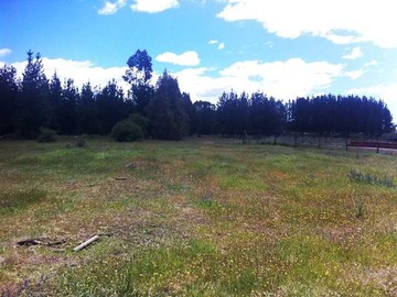 Venta / Terreno / Cauquenes