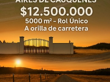 Venta / Terreno / Cauquenes