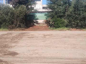 Venta / Terreno / Cauquenes