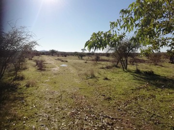 Imagen 11