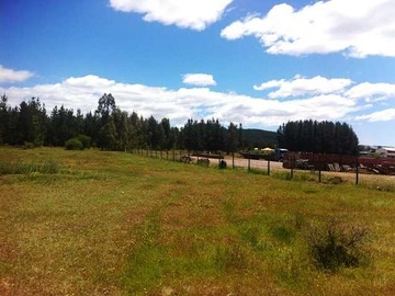 Venta / Terreno / Cauquenes