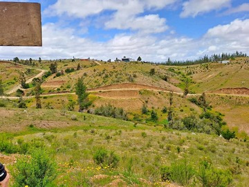 Venta / Terreno / Cauquenes